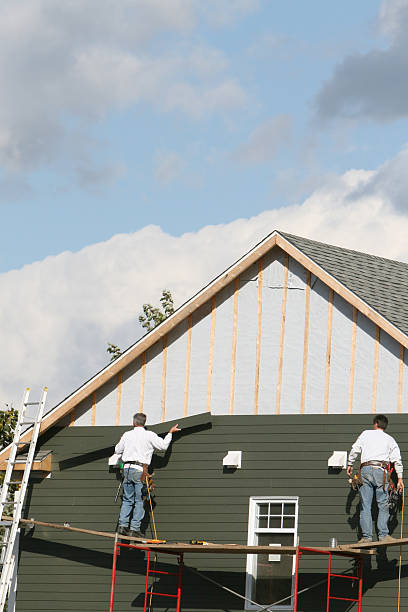 Best Stone Veneer Siding  in Cedar City, UT